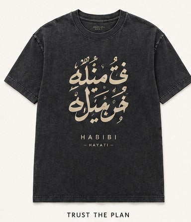 Trust The Plan Tee